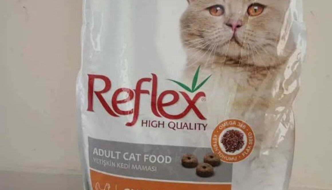 best quality cat food