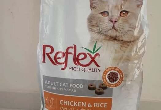 best quality cat food