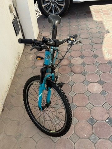 06B656DC-91B3-45F1-B4B2-8D9AB2D2C082_4_5005_c