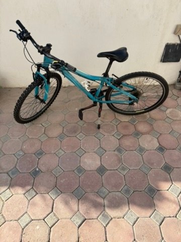 F569C09F-C9C8-4DDB-93BE-DDF45B03D67B_4_5005_c