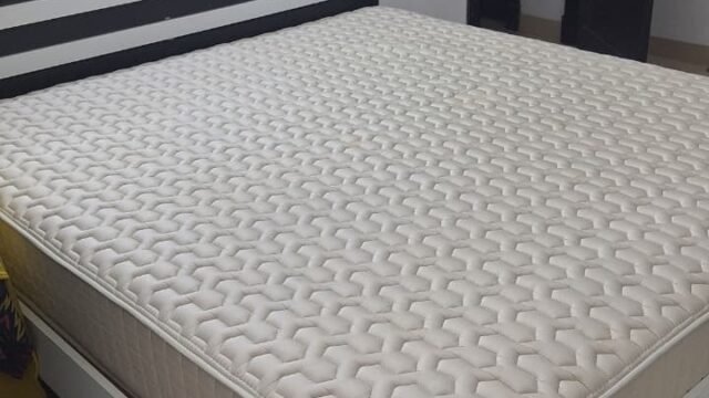 WhatsApp-Image-2026-01-20-at-4.41.41-PM-1